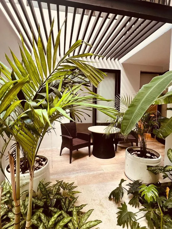 Volta Playa Del Carmem Apartment Playa del Carmen 0*,